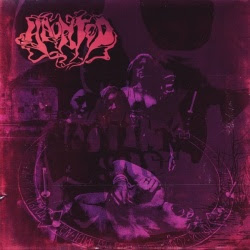 Haunted - Haunted Album Cover