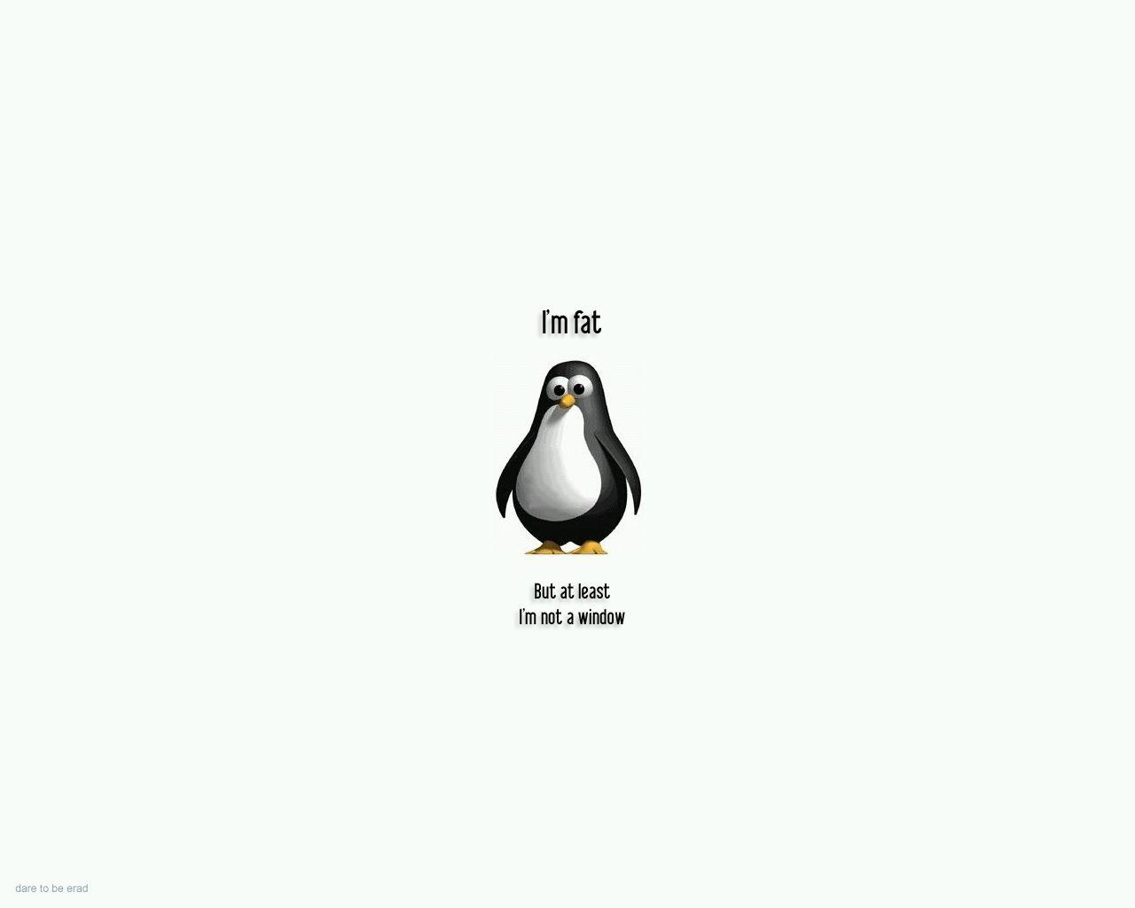 Funny Wallpapers Quotes - Wallpaper Cave