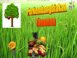 PPT - PERKEMBANGBIAKAN VEGETATIF TANAMAN PowerPoint 