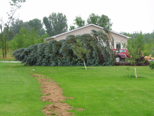 July 08 Storm