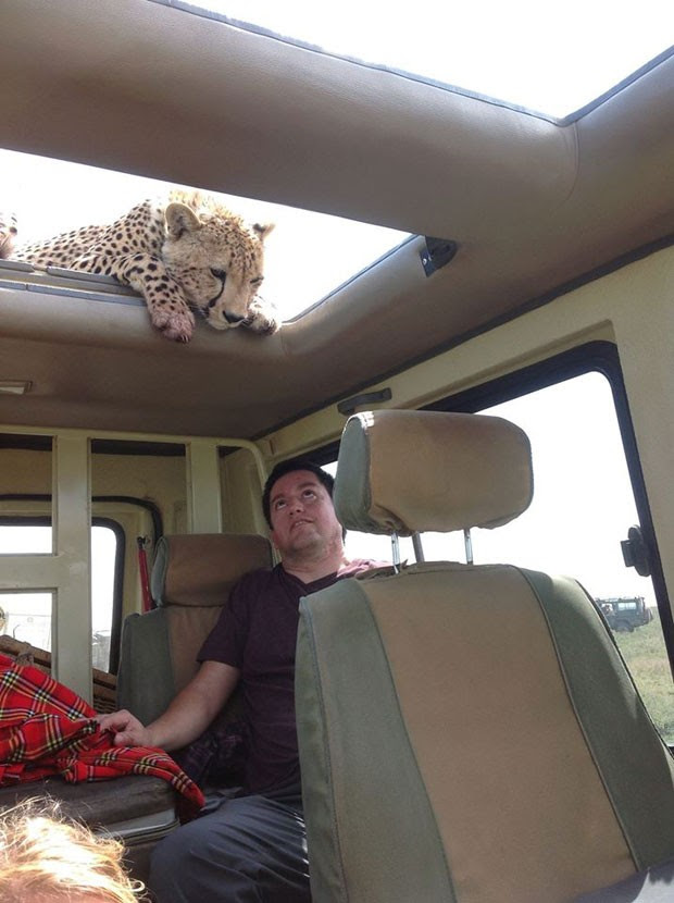 Edgar Cobos no momento em que o guepardo sobe no veículo (Foto: www.theluxurysafaricompany.com/Divulgação)