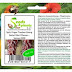 Datel Obst / Chinesische Dattel (Rote Dattel, Azufaifa) - Ziziphus ... : Da sie als nahrungsmittel sehr.