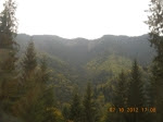 DSCN3334