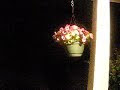 Nikon Coolpix 3200 test