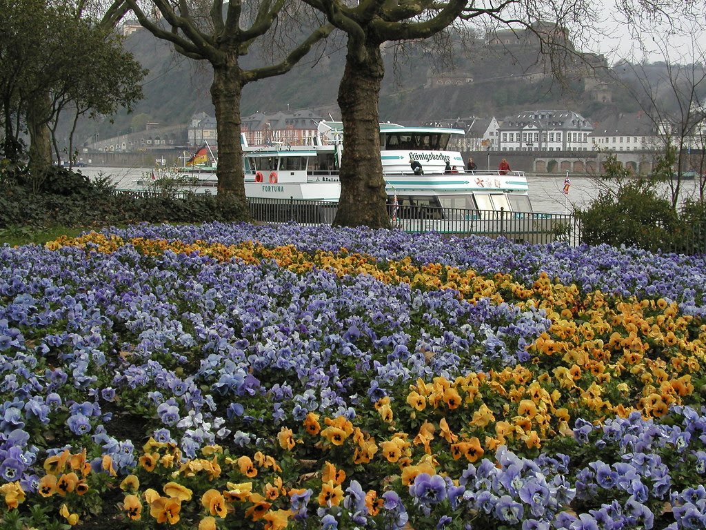 Koblenz 0406 002