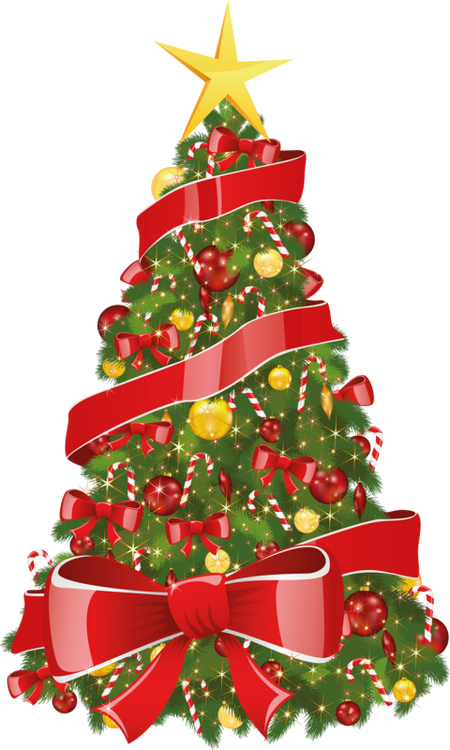 sapins,noel,christmas,