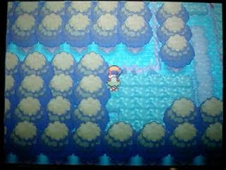 ポケモン ハートゴールド プレイ日記１７ ｍｙ カード ゲームブログ 楽天ブログ