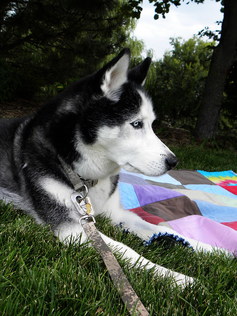 DSCN2143 Dave with Mati's Memory Quilt