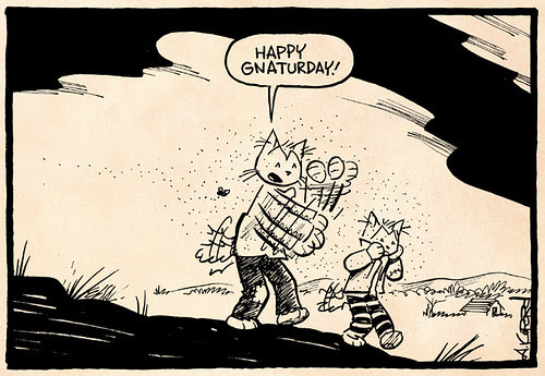 Laugh-Out-Loud Cats #2422 by Ape Lad