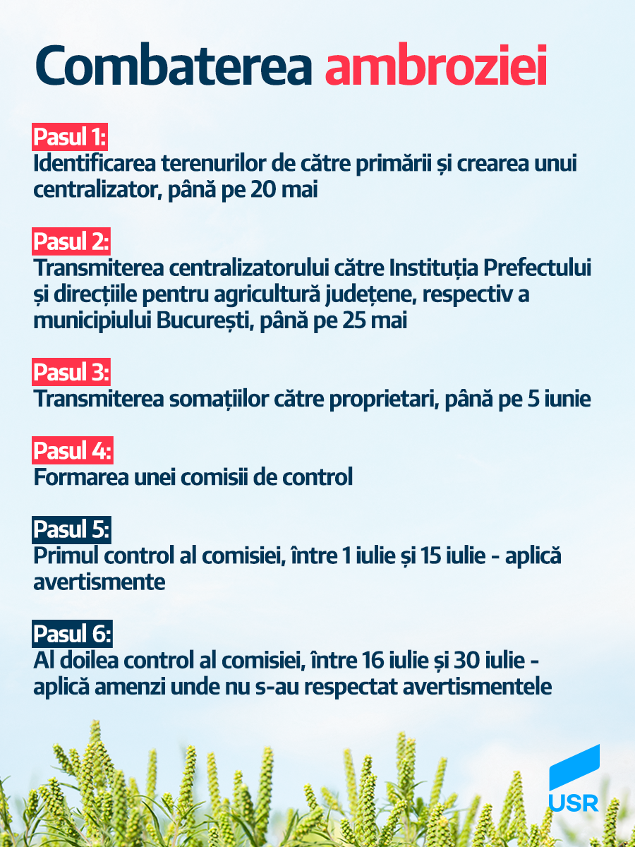 Cum Se Combate Buruiana Ambrozia In 6 Pași Cornel Zainea