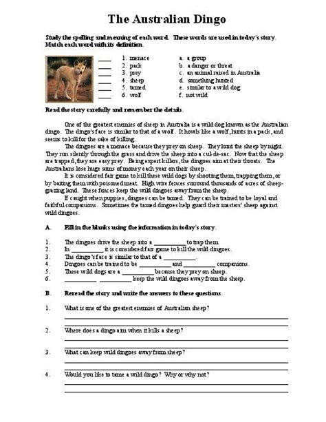  exercises on reading comprehension for high school online degrees