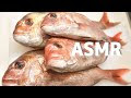 √99以上 魚 うろこ 取り 道具 343475-魚 うろこ取り 道具