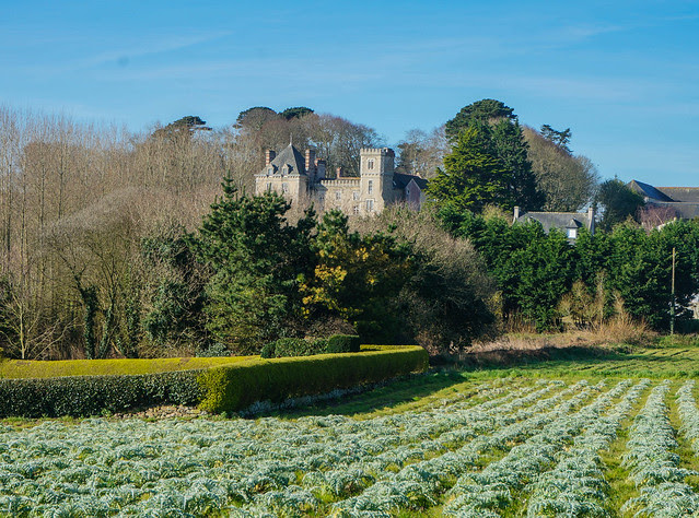 Brittany-20.jpg