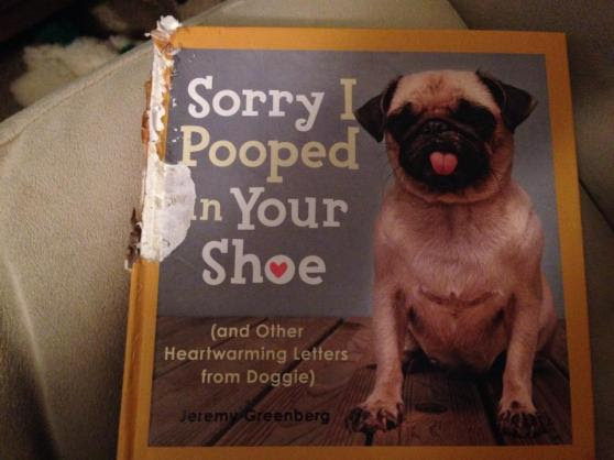 9835_10151856984381932_666143350_n