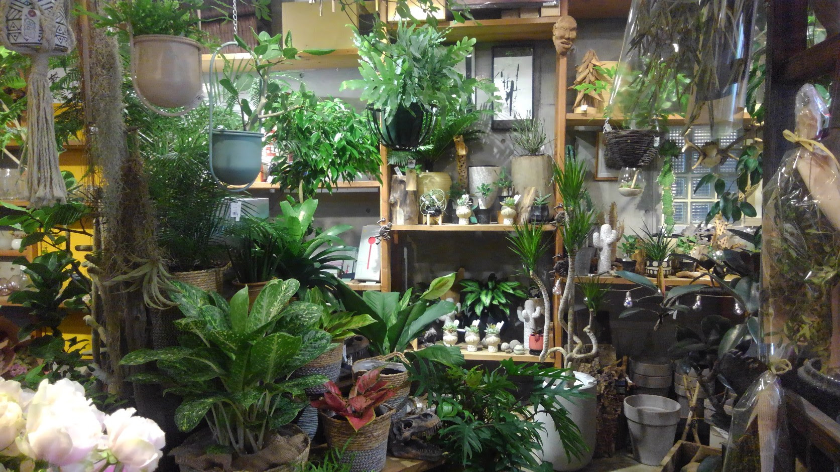 葉花 Habana 東京奥渋谷にある花屋 葉花 はばな 生花 観葉植物 花器 陶器鉢 ドライフラワー 雑貨など販売 花束 フラワーアレンジメントなど祝花 供花などの製作販売