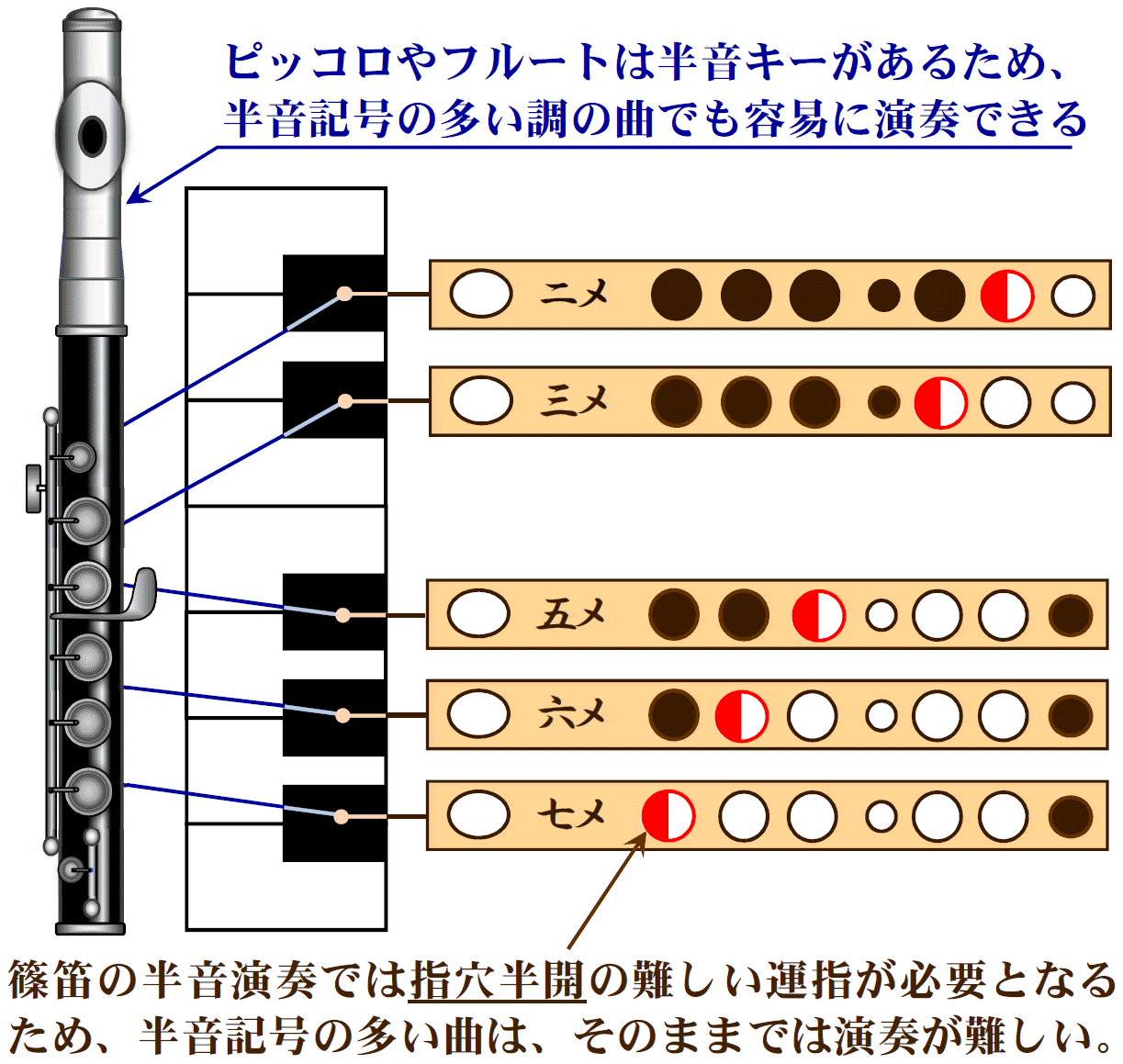 浜松 楽器 初心者
