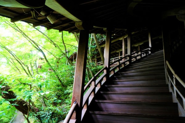 6月京都観光おすすめ 新緑 あじさい 苔が美しいお寺８選