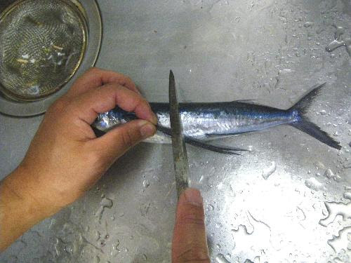 三枚おろしの方法 トビウオ 京都府ホームページ
