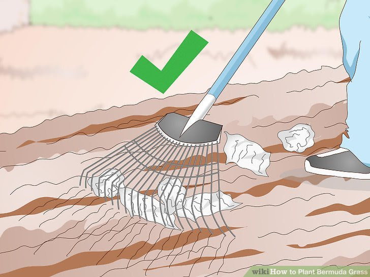 Plant Bermuda Grass Step 6.jpg