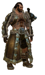 Guild Warsnorn on Guildwars 2 Race Norn