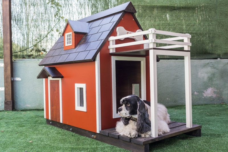 リノベーションした住まいに置きたいおしゃれな犬小屋７選 リノスタ