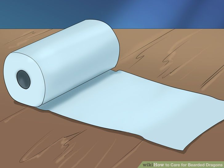 Care for Bearded Dragons Step 10 Version 3.jpg
