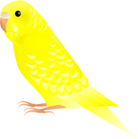 黄色いセキセイインコのイラスト 無料イラスト素材 ちいさないきもの
