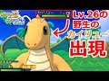 [10000ダウンロード済み√] アローラ ポケモン カイリュー 318719