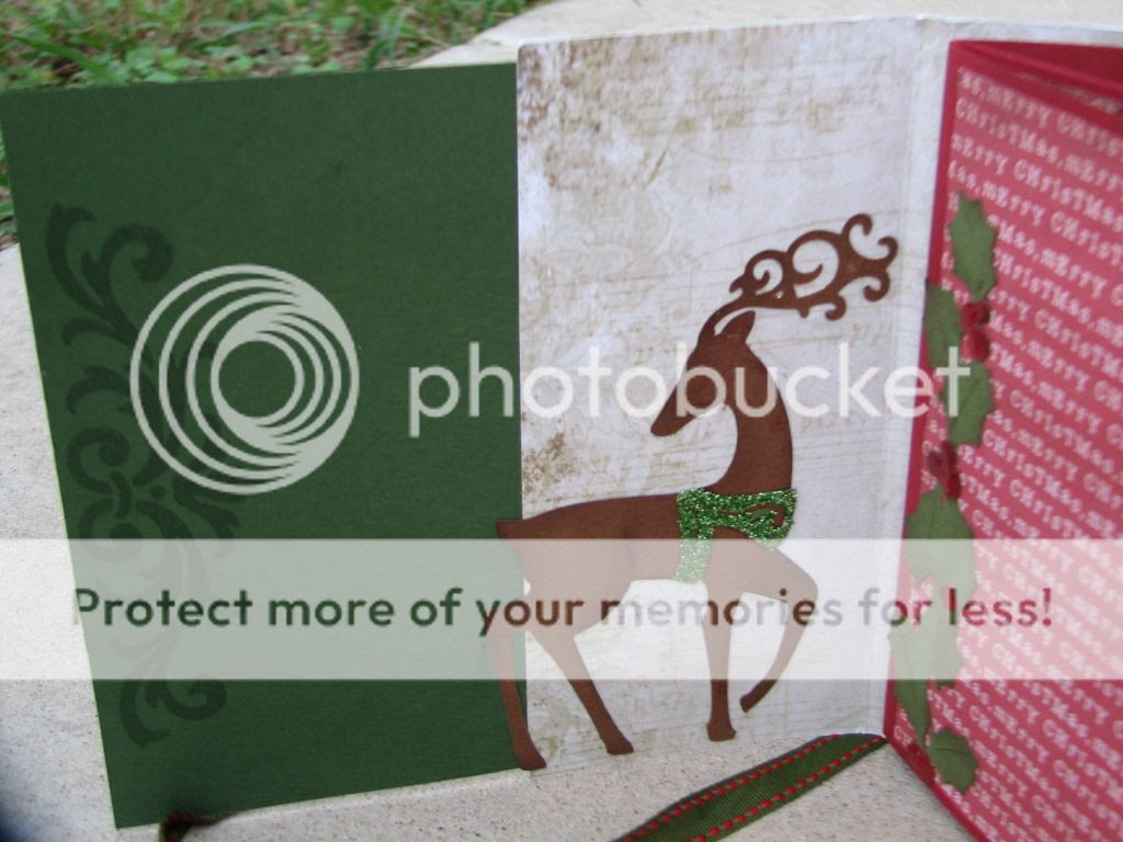 Photobucket Pictures, Images and Photos