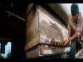 SRK  Вернуть сына