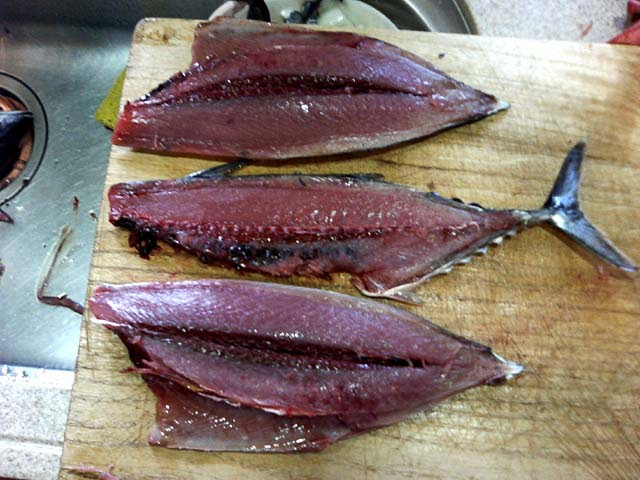 カツオのさばき方 カツオの三枚おろし ４ おろし方 さばき方 魚料理と簡単レシピ