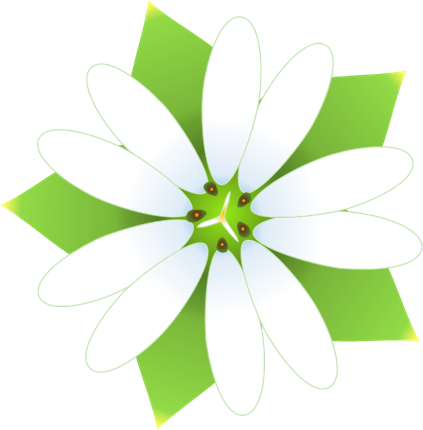 ハコベの花のイラスト 無料イラスト素材 ちいさないきもの