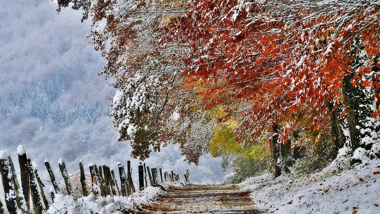 wallpapers Hiver Fond Écran Gratuit Paysage Feerique 10 000 fonds d ecran hd gratuits et de qualite wallpapers hd