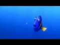 Die Besten Findet Nemo Sprüche