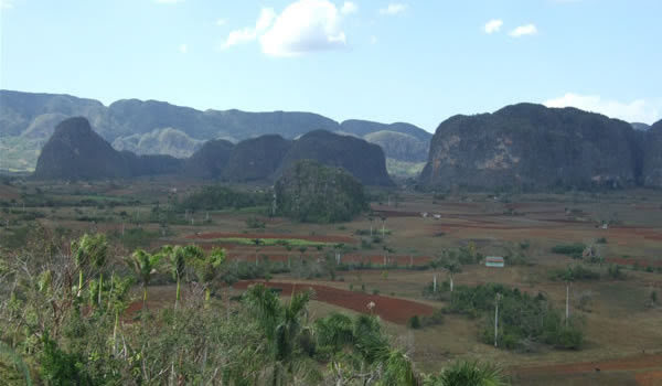 Cuba sălbatică
