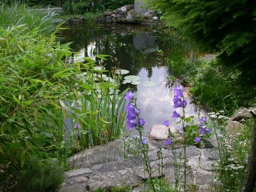 10 ideas for affordable garden design