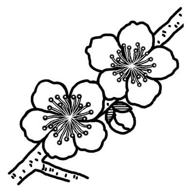 ウメ4 ツバキ ウメ 椿 梅 冬の花 無料 白黒イラスト素材