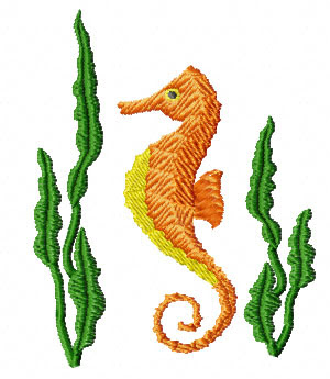 Sea Horse