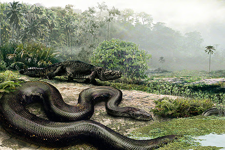 giant snake pictures big Top 10 Nat Geo Discoveries of 2009