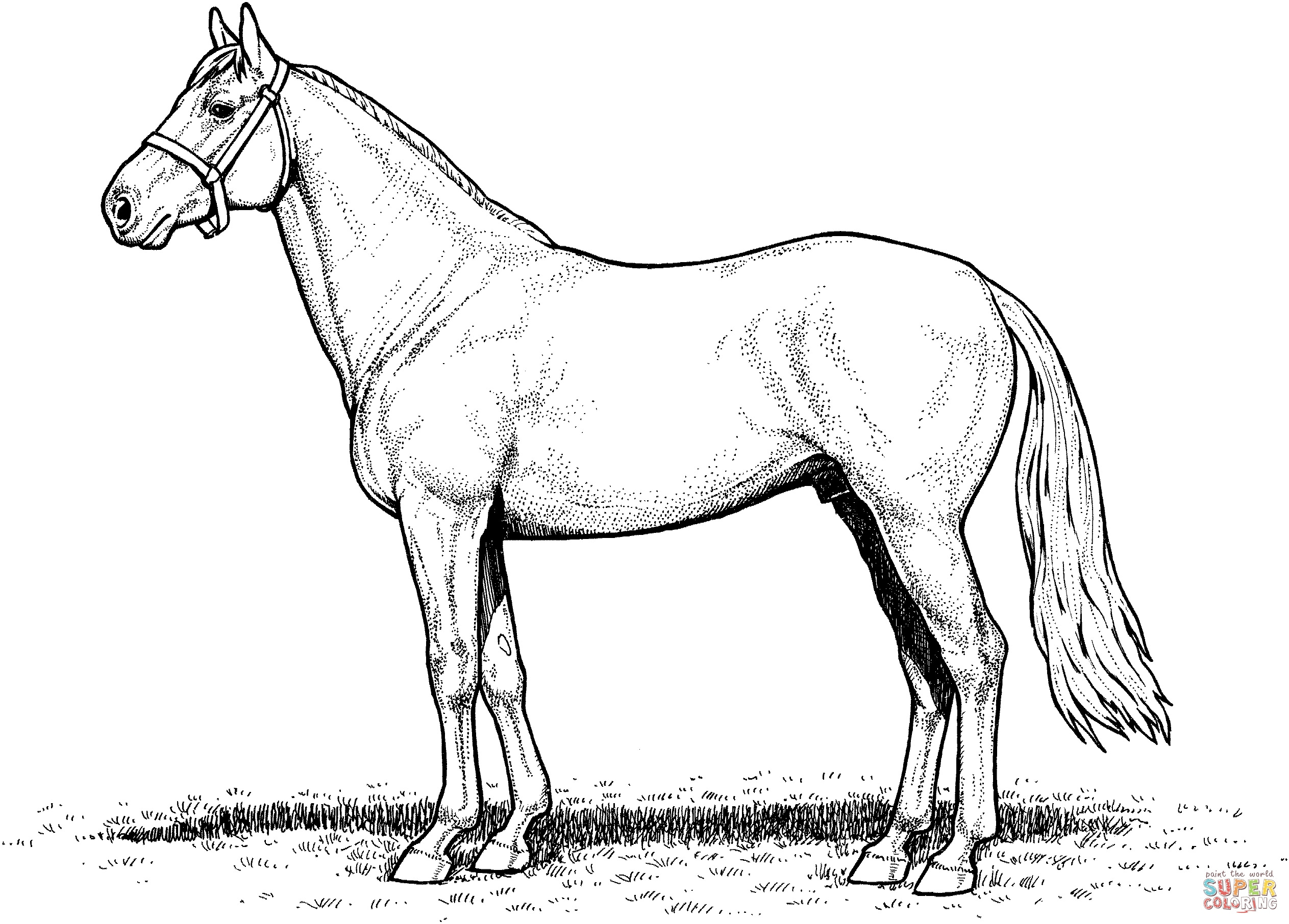 Download Draft Horse Coloring Pages at GetColorings.com | Free ...
