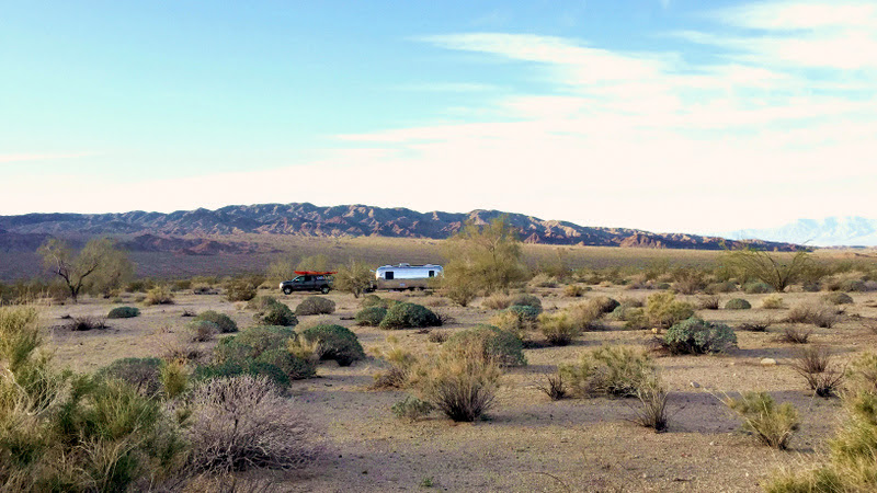 blm camping joshua tree south