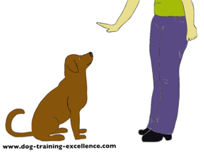 List of Synonyms and Antonyms of the Word: Dog Signals