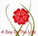 A Day In The Life