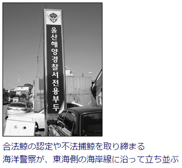 韓国捕鯨1
