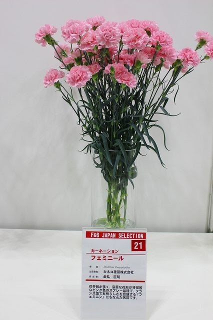 いい花の新基準 ジャパンフラワーセレクション Jfs