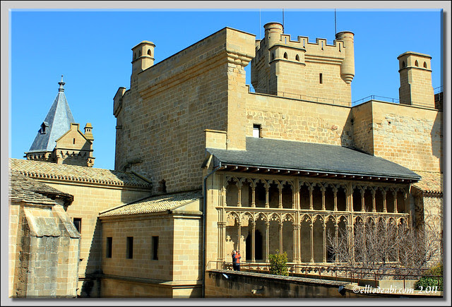 17 Palacio de Olite