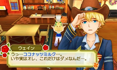 牧場物語 ３つの里の大切な友達 攻略メモ ２２日目 牧場あれこれ ウェインと結婚 花祭 主人公の誕生日他 雪 譜