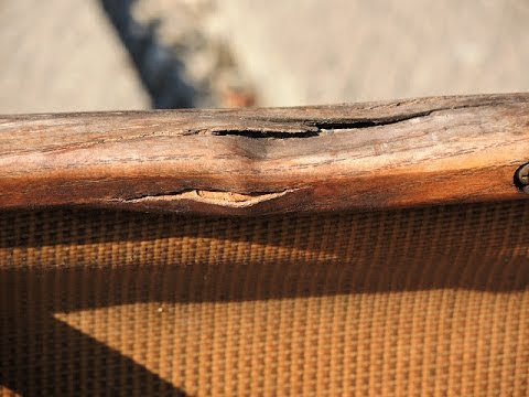 Kevlar canoes versus aluminum canoes - Worldnews.com