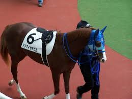 アドマイヤデウス