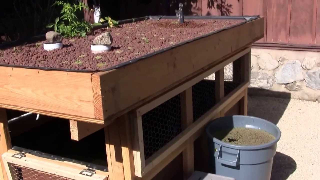 aquaponics two-tiered back yard gardening and fish farming